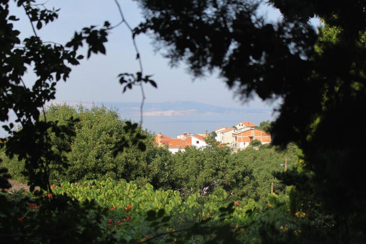 Apartments And Rooms With Parking Space Klenovica, Novi Vinodolski - 5590 Luaran gambar